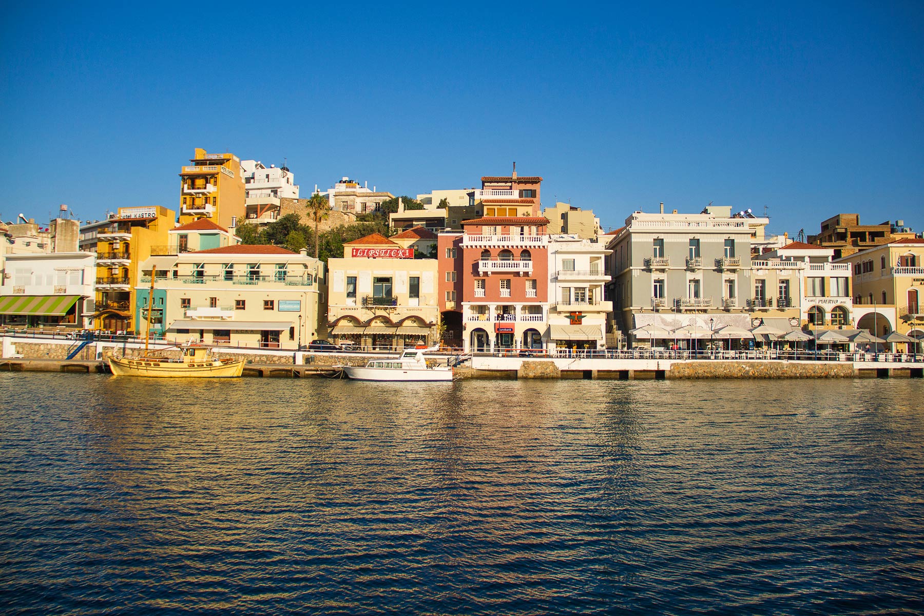 porto-maltese